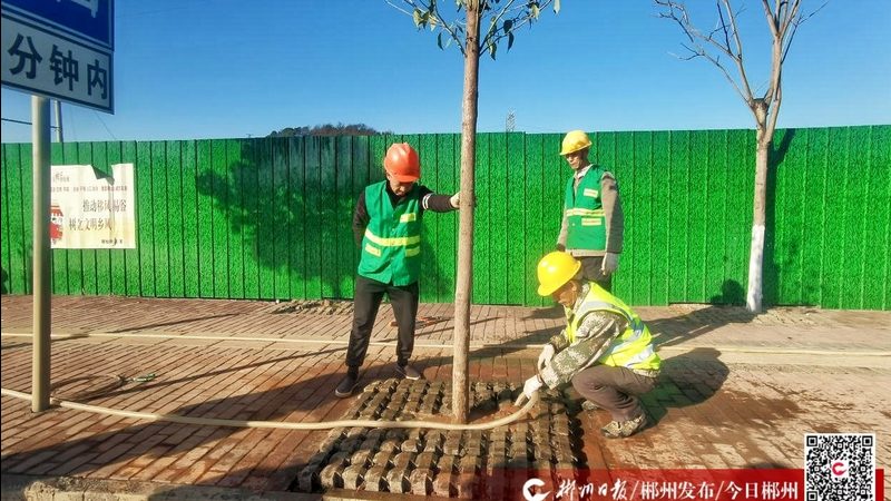 草坪铺设验收注意事项：如何确保施工质量与效果
