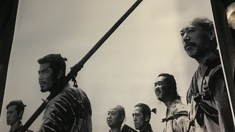 成都立体绿化墙施工，报价为什么差好几倍