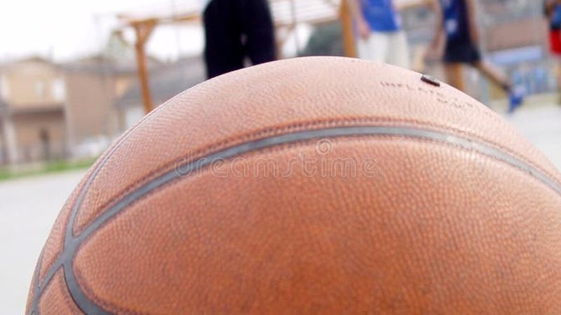生态绿墙价格解析：每平方米多少钱背后的考量**