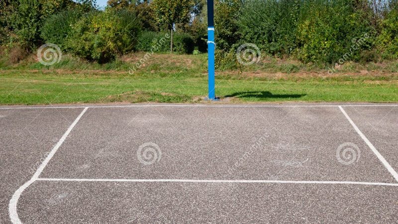 绿化工程公司资质解析：合规之路，保障工程品质**