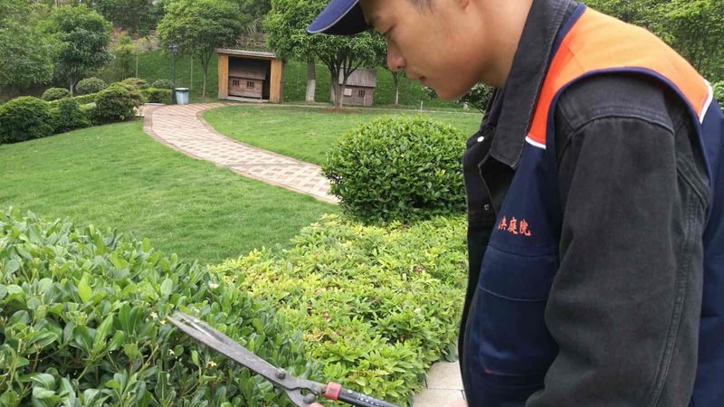 道路绿化验收标准规范全文解析