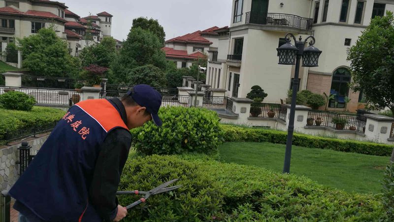 成都屋顶园林绿化：打造城市绿色新地标**