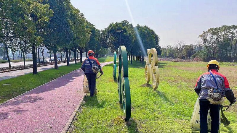 花卉租摆：安装维护费用背后的考量因素**