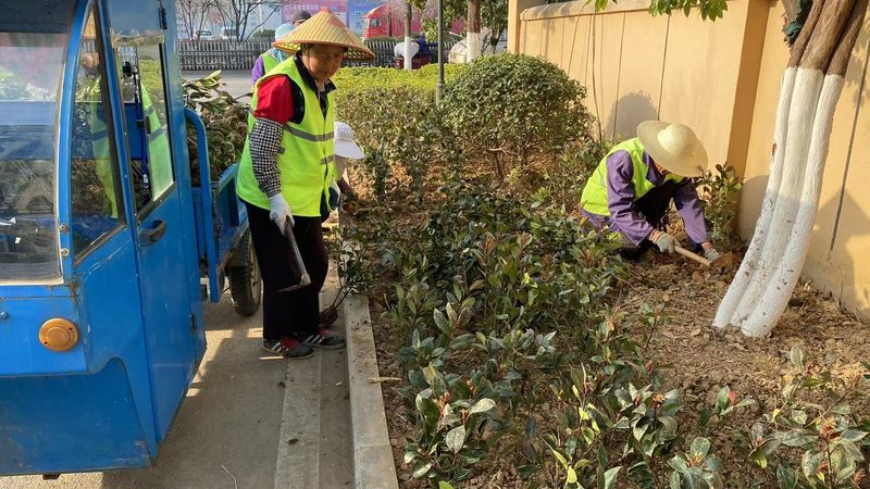 苏州园林绿化工程公司案例解析：如何打造城市绿色生态**