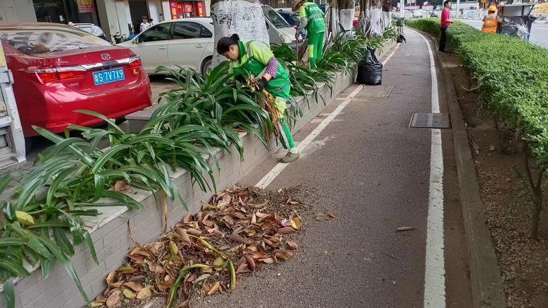 绿化资质加盟：揭秘十大品牌背后的行业逻辑**