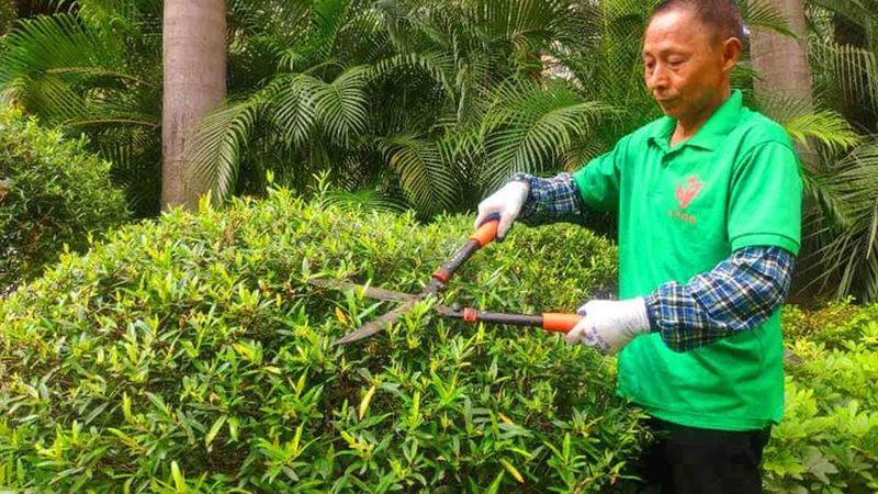 顶楼露台花园设计，成本如何控制？**