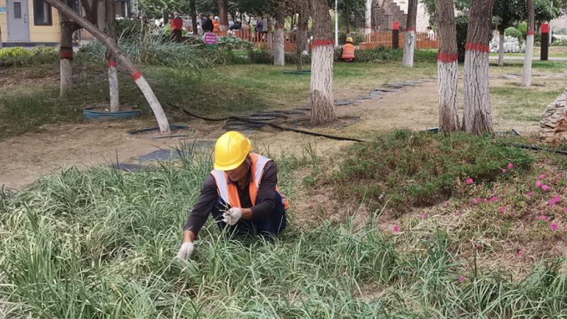 足球场草坪尺寸背后的场地逻辑