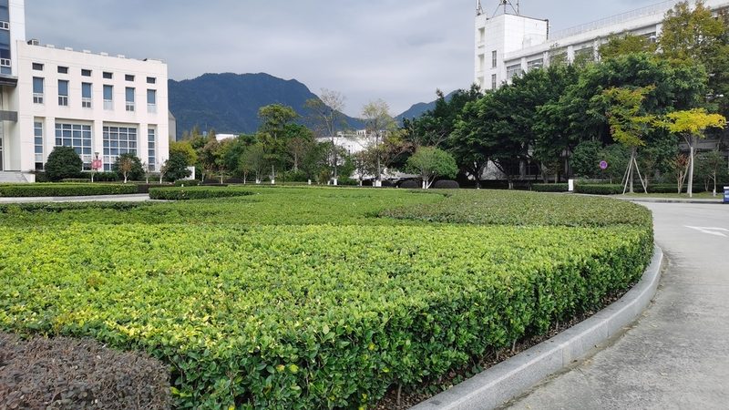 揭秘：假山喷泉厂家排名背后的秘密**