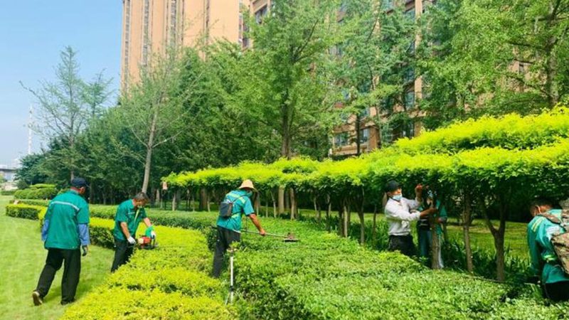 别墅庭院绿化预算怎么做：关键因素与合理规划